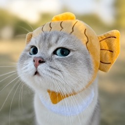 莱莱